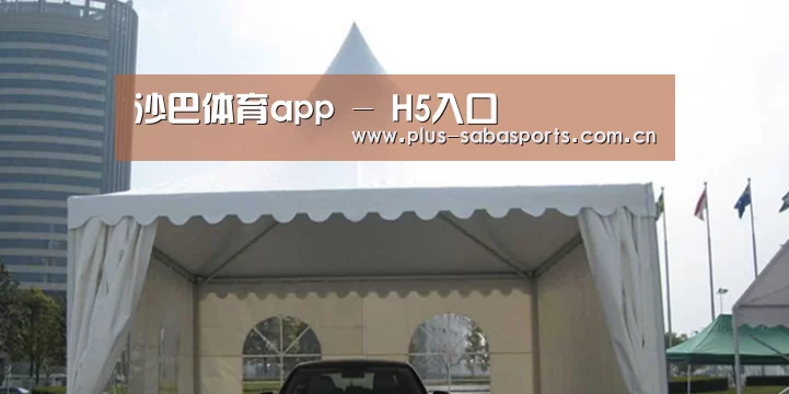 案例标题八