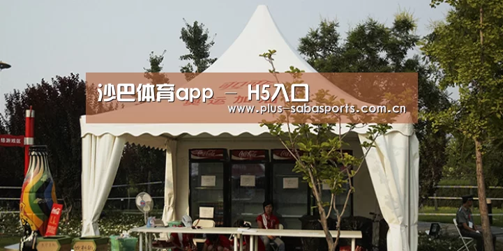 案例标题五