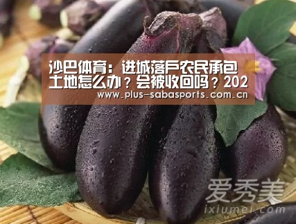 沙巴体育:进城落户农民承包土地怎么办?会被收回吗?2020年农村土地承包法新规解读(图2) 沙巴体育平台