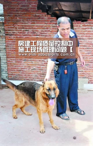 房建工程质量控制中施工现场管理问题【沙巴体育官网】(图2) 沙巴体育app