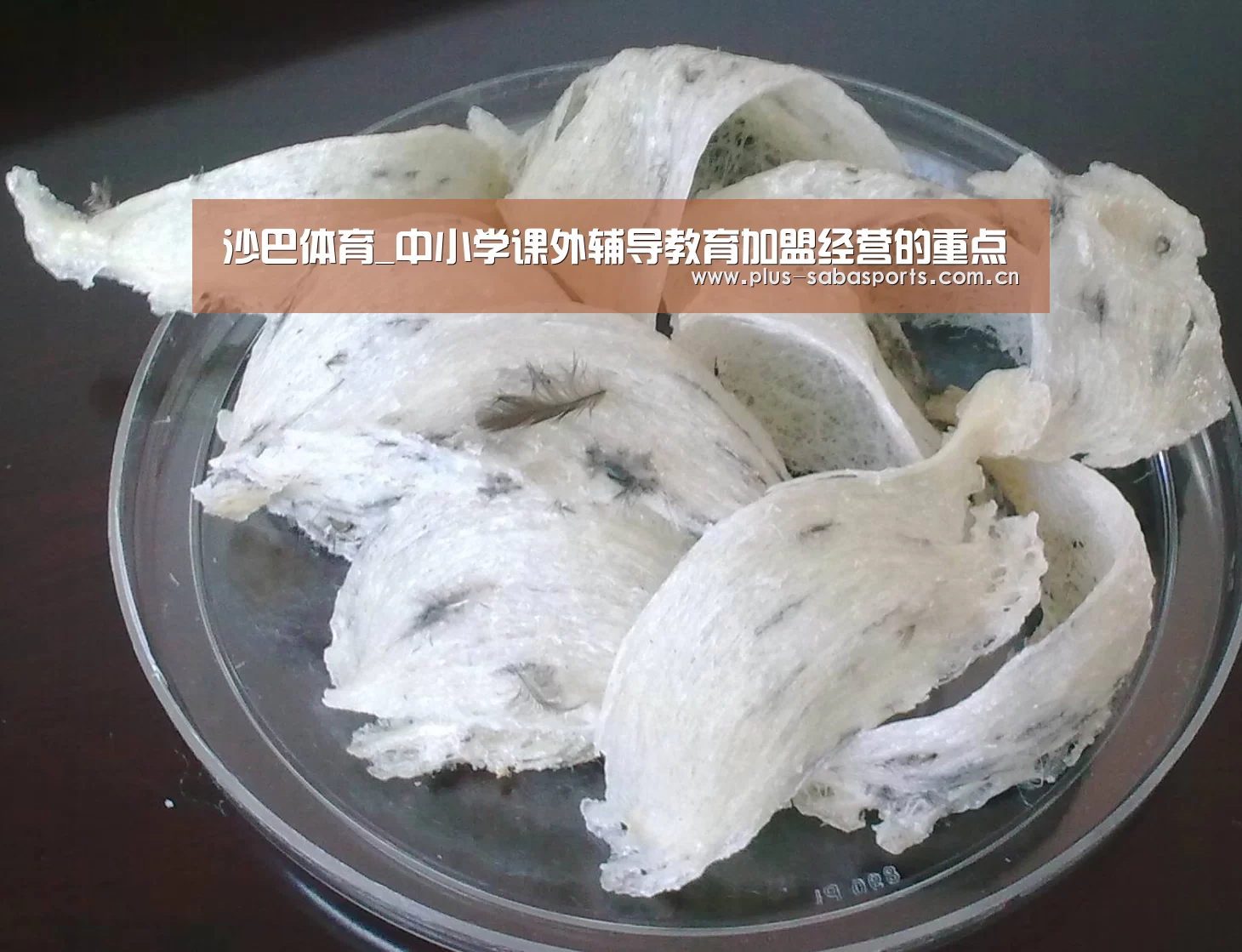 沙巴体育_中小学课外辅导教育加盟经营的重点(图3) 沙巴体育