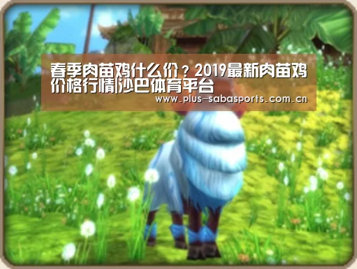 沙巴体育