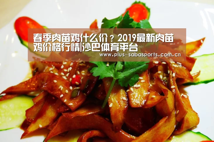 沙巴体育官网