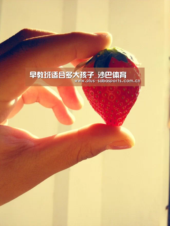 沙巴体育官网