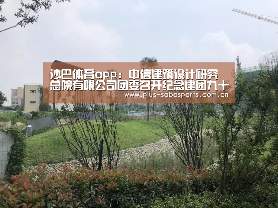 沙巴体育app:中信建筑设计研究总院有限公司团委召开纪念建团九十五周年暨心理健康月总结表彰大会(图1) 沙巴体育app
