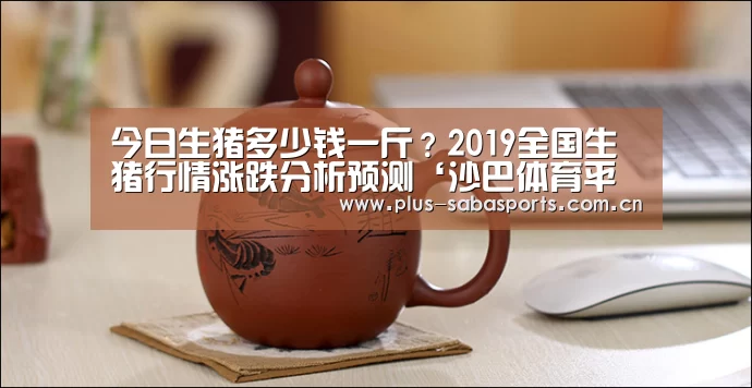 今日生猪多少钱一斤?2019全国生猪行情涨跌分析预测‘沙巴体育平台’(图2) 沙巴体育平台