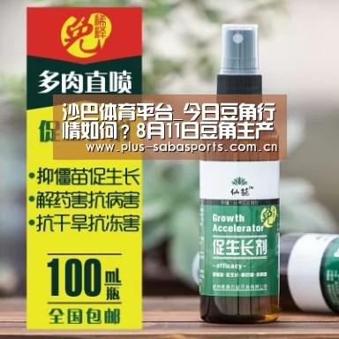 沙巴体育平台_今日豆角行情如何?8月11日豆角主产区市场收购行情(图1) 沙巴体育官网