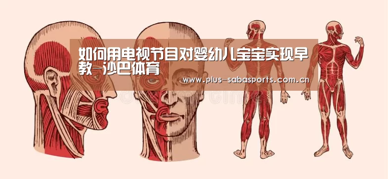 沙巴体育官网