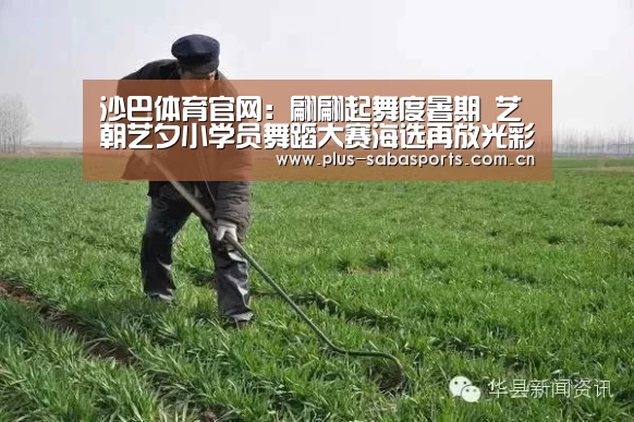 沙巴体育