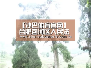 沙巴体育平台