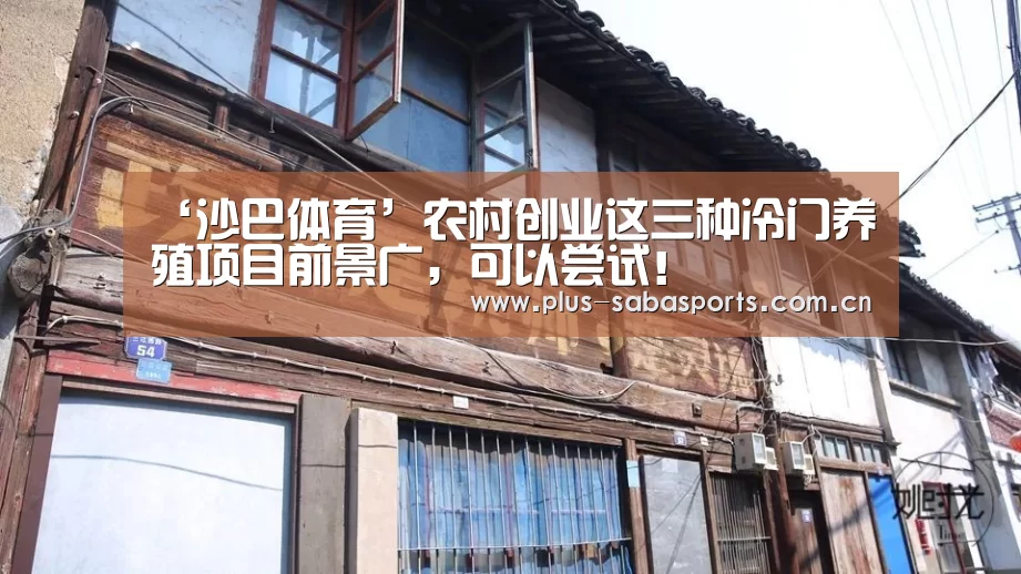 ‘沙巴体育’农村创业这三种冷门养殖项目前景广,可以尝试!(图1) 沙巴体育app
