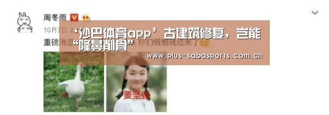 ‘沙巴体育app’古建筑修复,岂能“隆鼻削骨”(图1) 沙巴体育官网