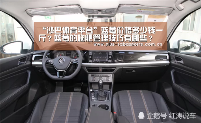 “沙巴体育平台”蓝莓价格多少钱一斤?蓝莓的施肥管理技巧有哪些?(图1) 沙巴体育平台