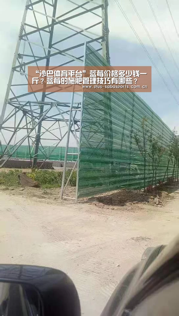 “沙巴体育平台”蓝莓价格多少钱一斤?蓝莓的施肥管理技巧有哪些?(图3) 沙巴体育平台