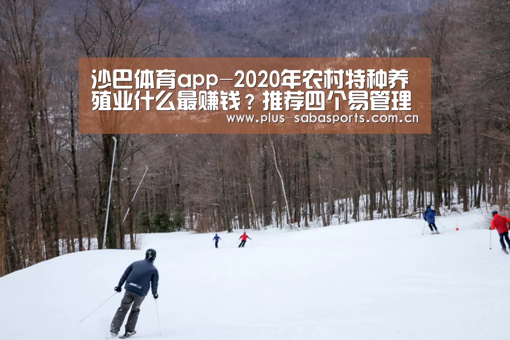 沙巴体育官网