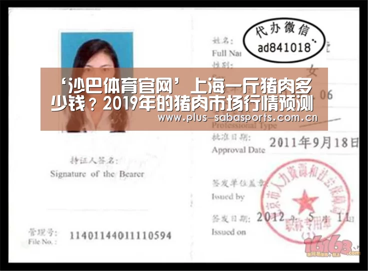 沙巴体育app