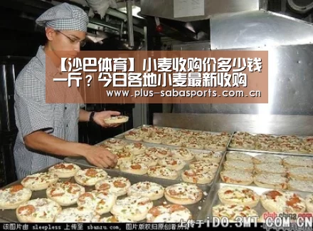 沙巴体育平台