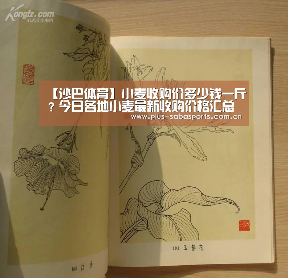 沙巴体育官网