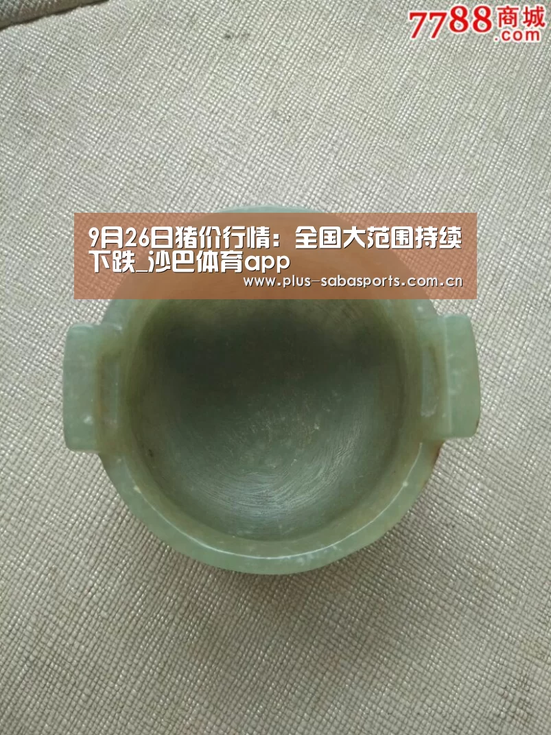 9月26日猪价行情:全国大范围持续下跌_沙巴体育app